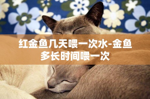 紅金魚幾天喂一次水-金魚多長時間喂一次
