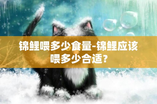 錦鯉喂多少食量-錦鯉應該喂多少合適？