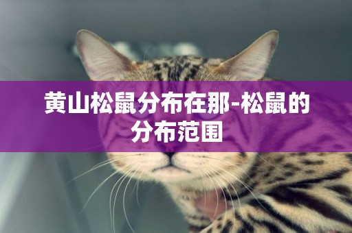黃山松鼠分布在那-松鼠的分布范圍