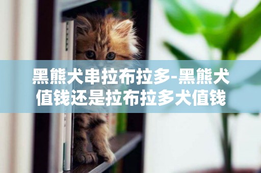 黑熊犬串拉布拉多-黑熊犬值錢還是拉布拉多犬值錢
