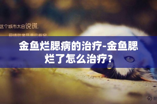 金魚爛腮病的治療-金魚腮爛了怎么治療？
