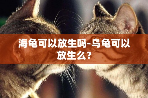 海龜可以放生嗎-烏龜可以放生么？
