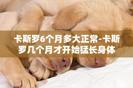 卡斯羅6個月多大正常-卡斯羅幾個月才開始猛長身體