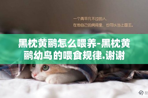黑枕黃鸝怎么喂養-黑枕黃鸝幼鳥的喂食規律.謝謝