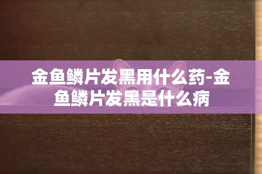 金魚鱗片發黑用什么藥-金魚鱗片發黑是什么病