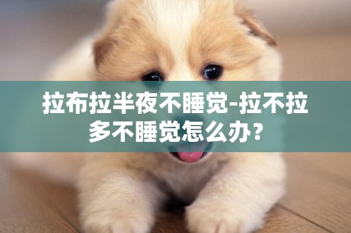 拉布拉半夜不睡覺-拉不拉多不睡覺怎么辦？