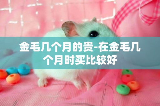 金毛幾個月的貴-在金毛幾個月時買比較好