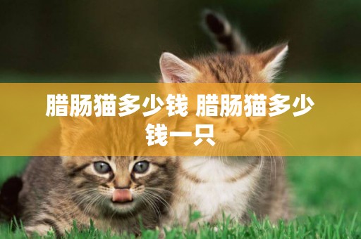 臘腸貓多少錢 臘腸貓多少錢一只