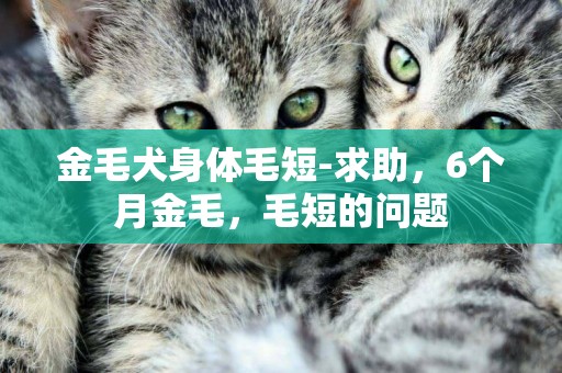 金毛犬身體毛短-求助，6個月金毛，毛短的問題