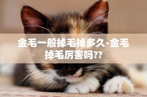 金毛一般掉毛掉多久-金毛掉毛厲害嗎??