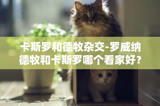 卡斯羅和德牧雜交-羅威納德牧和卡斯羅哪個看家好？懂的進