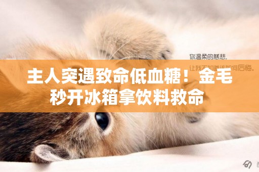 主人突遇致命低血糖！金毛秒開冰箱拿飲料救命 