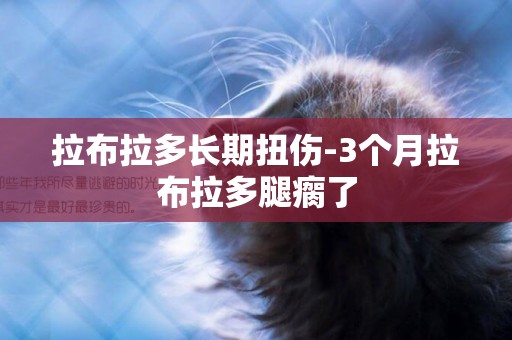 拉布拉多長期扭傷-3個月拉布拉多腿瘸了