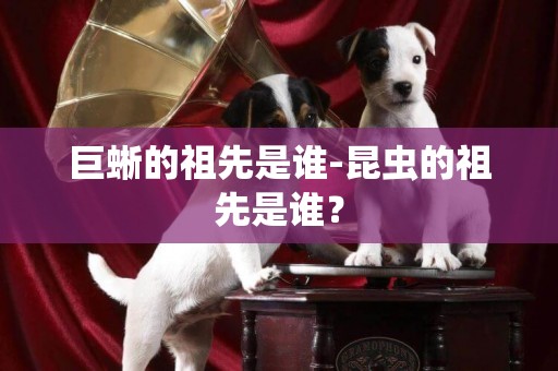 巨蜥的祖先是誰-昆蟲的祖先是誰？