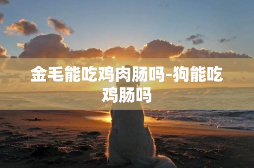 金毛能吃雞肉腸嗎-狗能吃雞腸嗎