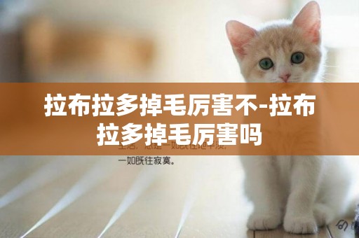 拉布拉多掉毛厲害不-拉布拉多掉毛厲害嗎