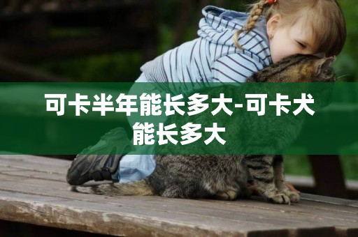 可卡半年能長多大-可卡犬能長多大
