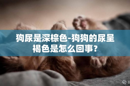 狗尿是深棕色-狗狗的尿呈褐色是怎么回事？