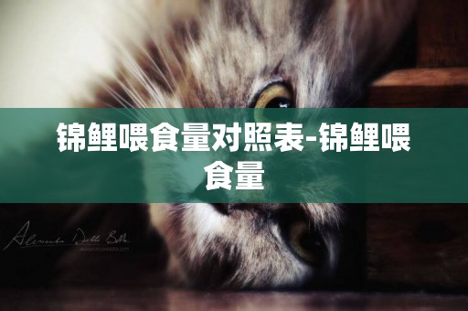 錦鯉喂食量對照表-錦鯉喂食量