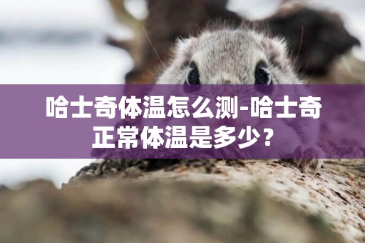哈士奇體溫怎么測-哈士奇正常體溫是多少？