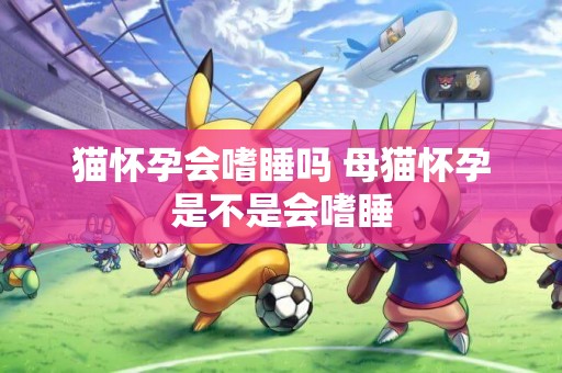 貓懷孕會嗜睡嗎 母貓懷孕是不是會嗜睡