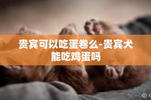 貴賓可以吃蛋卷么-貴賓犬能吃雞蛋嗎