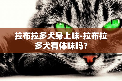 拉布拉多犬身上味-拉布拉多犬有體味嗎？