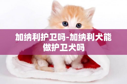 加納利護衛嗎-加納利犬能做護衛犬嗎