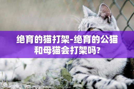 絕育的貓打架-絕育的公貓和母貓會打架嗎?