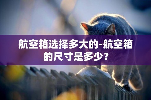航空箱選擇多大的-航空箱的尺寸是多少？