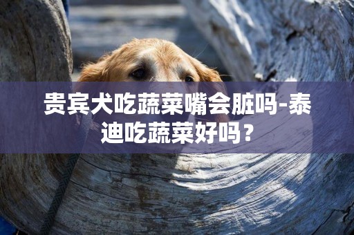 貴賓犬吃蔬菜嘴會臟嗎-泰迪吃蔬菜好嗎？