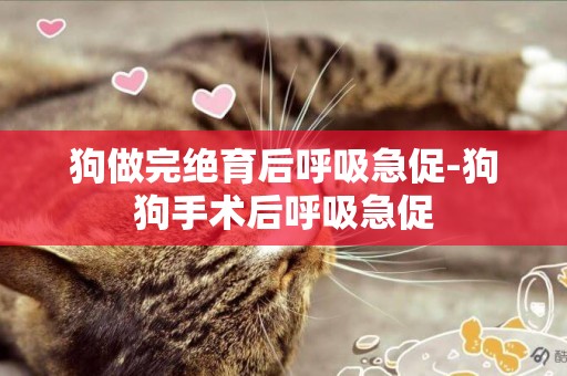 狗做完絕育后呼吸急促-狗狗手術后呼吸急促