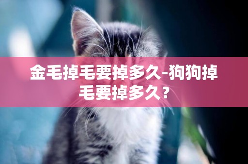 金毛掉毛要掉多久-狗狗掉毛要掉多久？