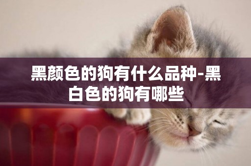 黑顏色的狗有什么品種-黑白色的狗有哪些