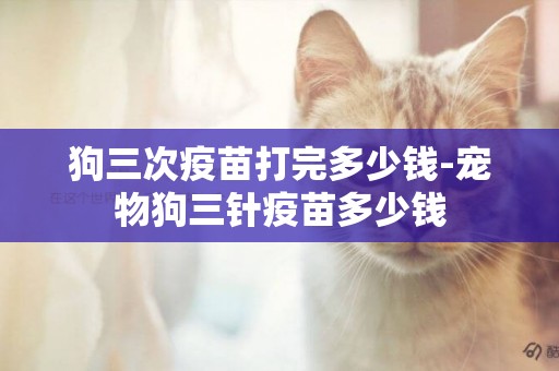 狗三次疫苗打完多少錢-寵物狗三針疫苗多少錢