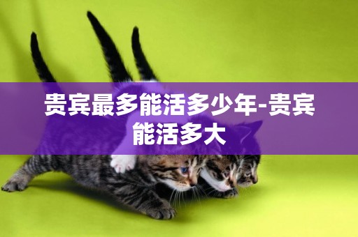 貴賓最多能活多少年-貴賓能活多大
