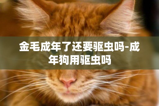 金毛成年了還要驅蟲嗎-成年狗用驅蟲嗎