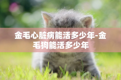 金毛心臟病能活多少年-金毛狗能活多少年