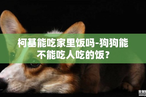 柯基能吃家里飯嗎-狗狗能不能吃人吃的飯？