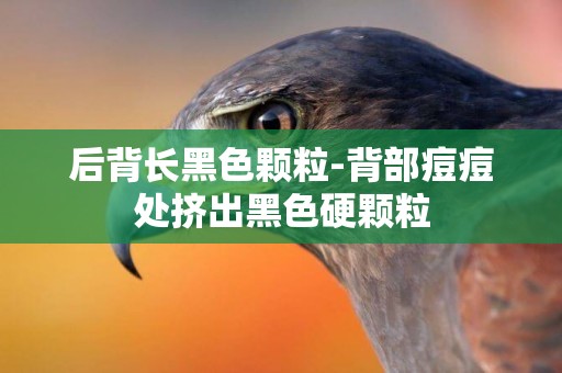 后背長黑色顆粒-背部痘痘處擠出黑色硬顆粒