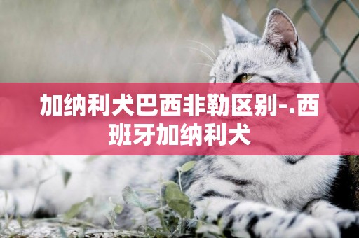 加納利犬巴西非勒區別-.西班牙加納利犬