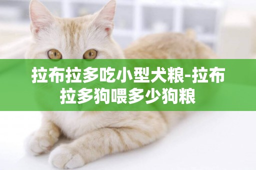 拉布拉多吃小型犬糧-拉布拉多狗喂多少狗糧