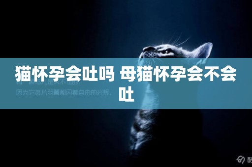 貓懷孕會吐嗎 母貓懷孕會不會吐