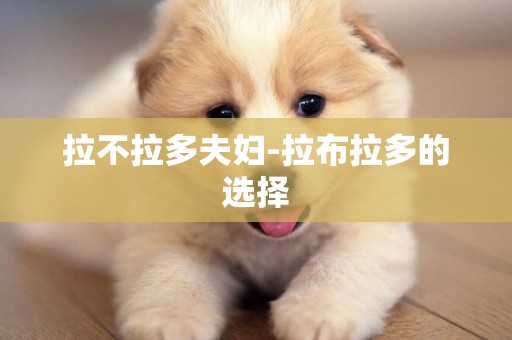 拉不拉多夫婦-拉布拉多的選擇
