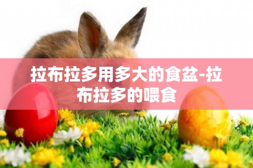 拉布拉多用多大的食盆-拉布拉多的喂食