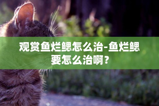 觀賞魚爛鰓怎么治-魚爛鰓要怎么治啊？
