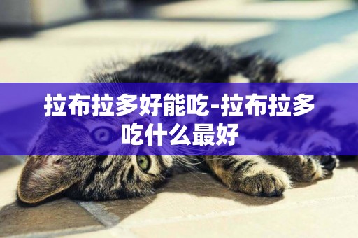 拉布拉多好能吃-拉布拉多吃什么最好