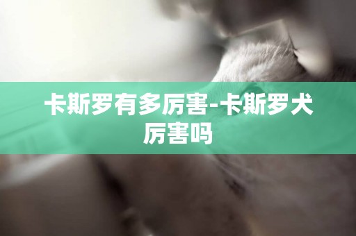 卡斯羅有多厲害-卡斯羅犬厲害嗎