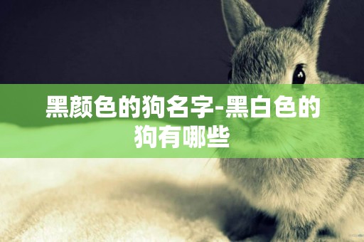 黑顏色的狗名字-黑白色的狗有哪些