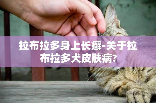 拉布拉多身上長癬-關于拉布拉多犬皮膚病?